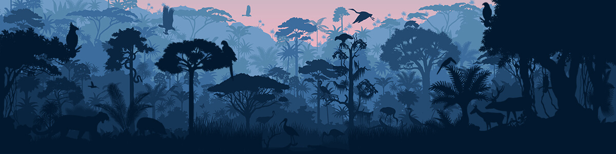 introduction to ecology lesson