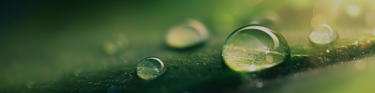 renewable resources lesson